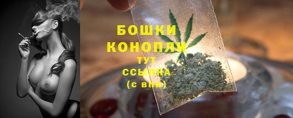 стафф Болотное