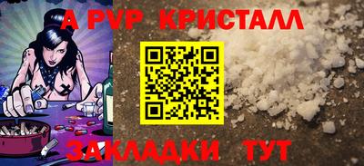 шишки Ярославль