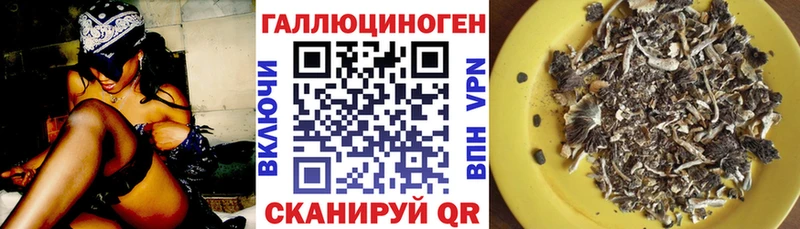 Псилоцибиновые грибы мицелий  Канск 