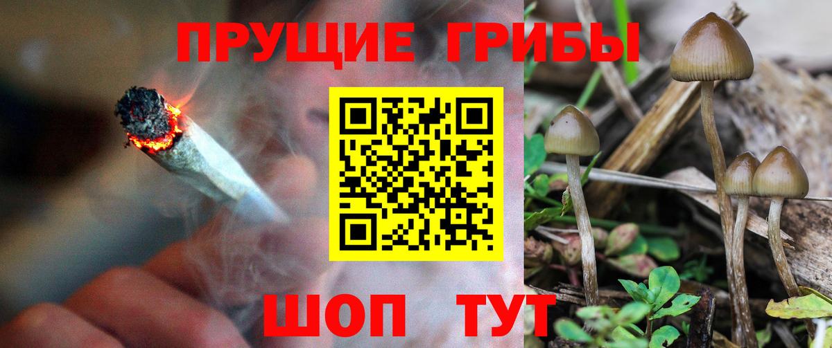 Канск  Галлюциногенные грибы ЛСД  Вход с VPN  Псилоцибиновые грибы мицелий 
