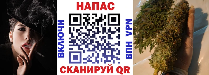 Марихуана план  Канск 
